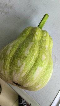 娱乐吃瓜酱属于什么,揭秘娱乐圈幕后故事与热点事件